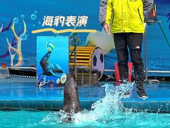 -荆州中山公园动物园