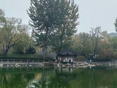 -莲湖公园
