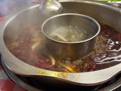 -金鼎雪山牦牛杂火锅(理县总店)