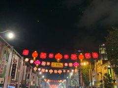 -新加坡佛牙寺龙华院