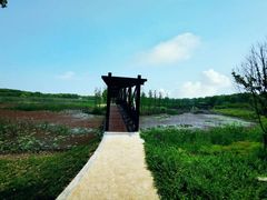 -同里国家湿地公园