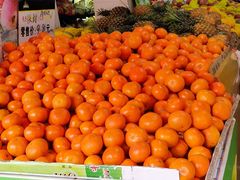 -全而廉(靖宇中路店)