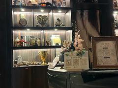 -雪灵魔法世界SHELLY’S TAROT(大良桂畔里店)