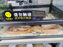 -三旗百汇商品城