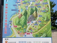 -西霞口神雕山野生动物世界