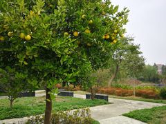 -歌斐颂巧克力小镇