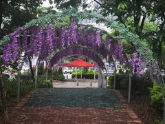 -飞来湖湿地公园