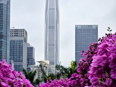 -莲花山公园
