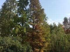 -宝界山林公园