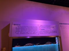 -白鹤梁水下博物馆