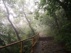 -北京上方山国家森林公园