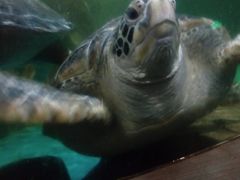 -石林冰雪海洋世界