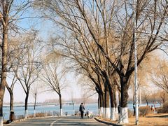 -丁香湖公园