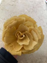 -爱儿美儿童摄影(五路居花园别墅店)