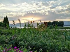 -正宗老字号万州烤鱼(怡福路店)