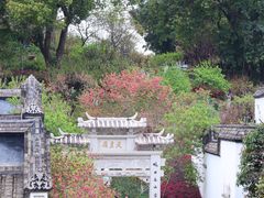-乌山风景区