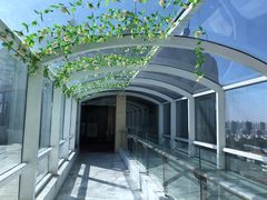 -上海虹梅嘉廷酒店