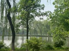 -石家庄市植物园