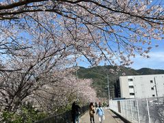 -岚山嵯峨野观光小火车