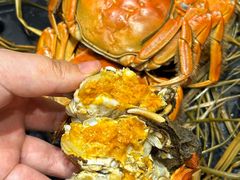 -火福·天湖阁大闸蟹博物馆主题餐厅(浅水湾店)