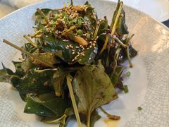 四川折耳叶-富乐山酒店(西黄城根北街店)