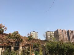 -半坡国际艺术区