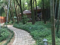 -同里国家湿地公园