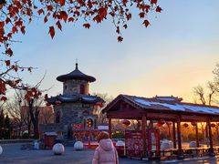 -大槐树寻根祭祖园