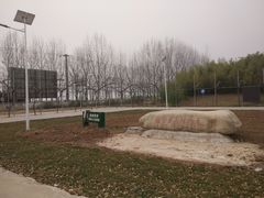 -白鹿原葡萄主题公园