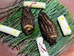 -天水蔬食料理(树德之光店)