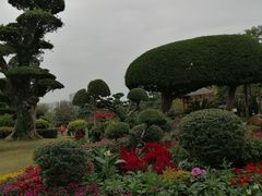 -南宁南湖公园