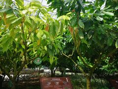 -歌斐颂巧克力小镇