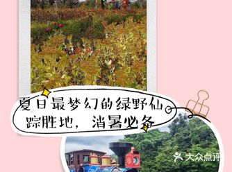 夏日最梦幻的绿野仙踪胜地，消暑必备，快带娃娃来