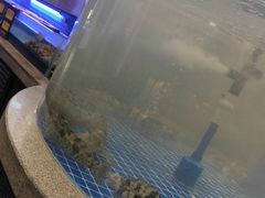 -四季厨房 鲁菜·孔府烤鸭(高新万达店)
