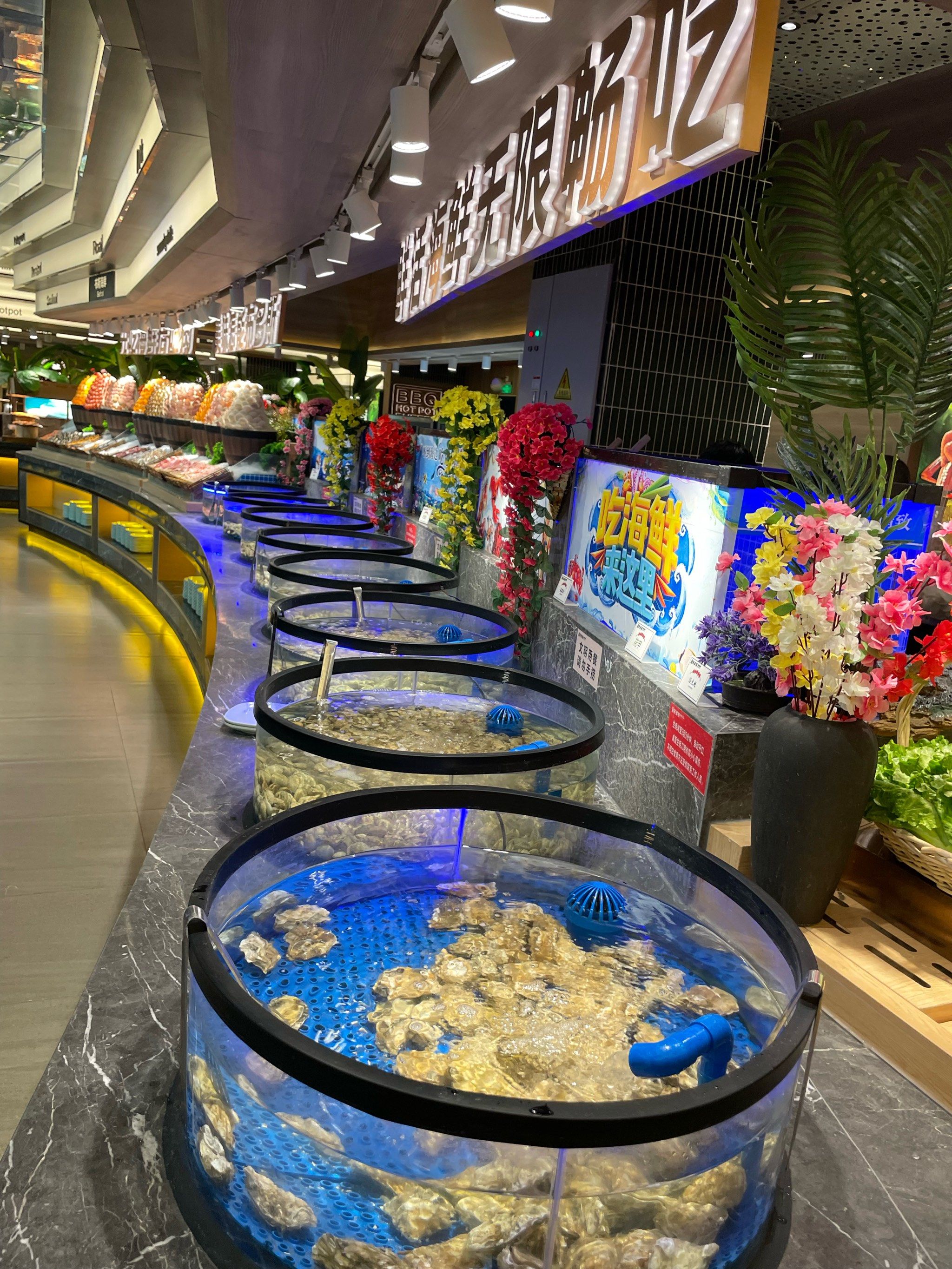 两位数的自助餐天花板被我发现了
布多斯自助海鲜烤肉
成年人不做