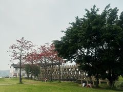-水上人家河鲜