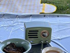 -两河城市森林公园