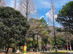 -宝岩生态观光园