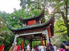 -茶颜悦色(岳麓山顶店)