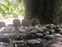 -成都市活水公园