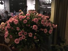 -Apollo·西班牙小酒馆(安福路店)