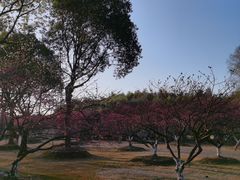 -东方绿舟景区