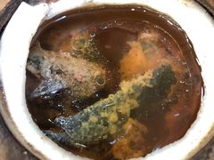 -達揚原味燉品(文明路店)