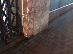 门面-上海市虹口区青少年活动中心(欧阳路)