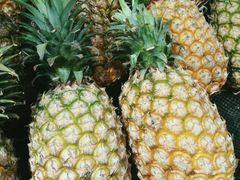 -综合保税区进口商品直销中心(新百店)