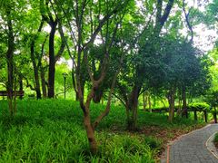 -徐家汇源景区-衡山公园