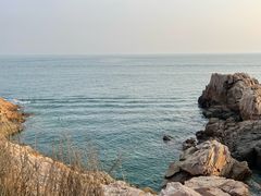 -小麦岛公园