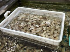-盒马鲜生(189购物中心店)