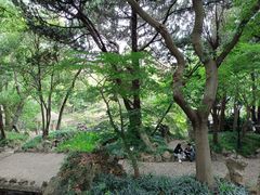 -叶家花园