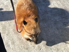 -人民防洪胜利纪念塔